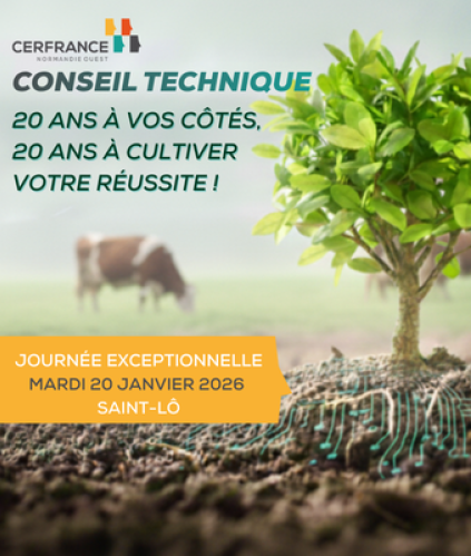 20 ans conseil technique