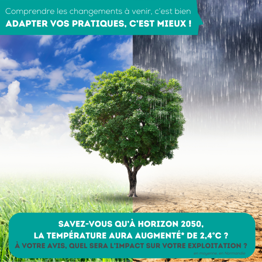 visuel d'un arbre coincé entre une atmosphère propice au développement avec de l'herbe, et un environnement plus aride