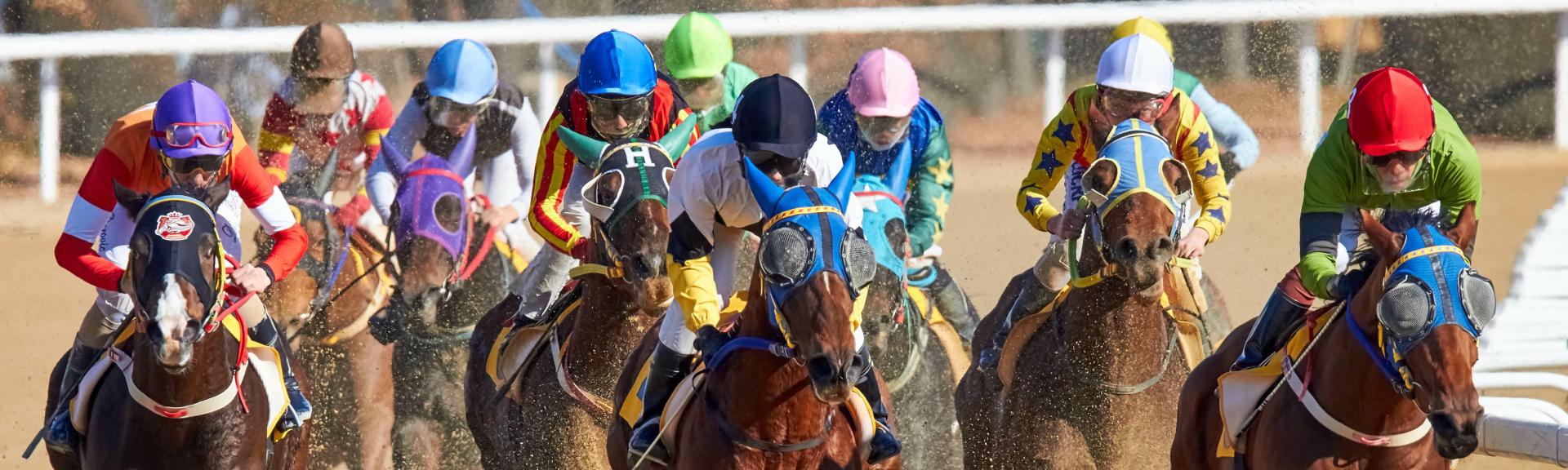 Une course hippique avec des cavaliers sur le dos des chevaux