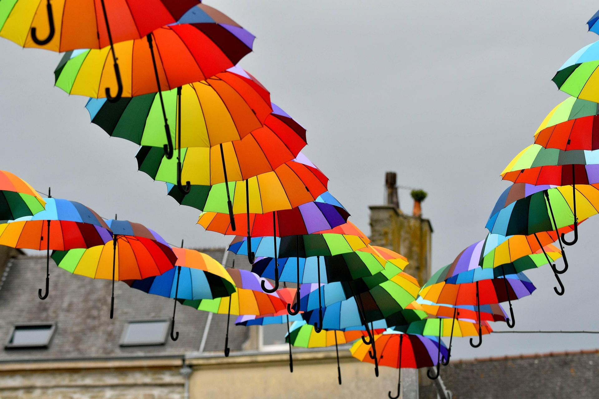 Parapluie de Cherbourg