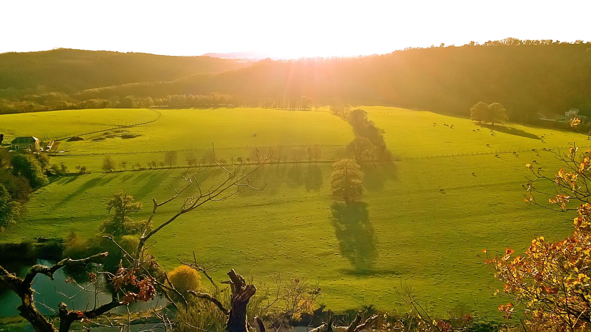 Champ pendant un levé de soleil proche de l'agence Cerfance à Vire