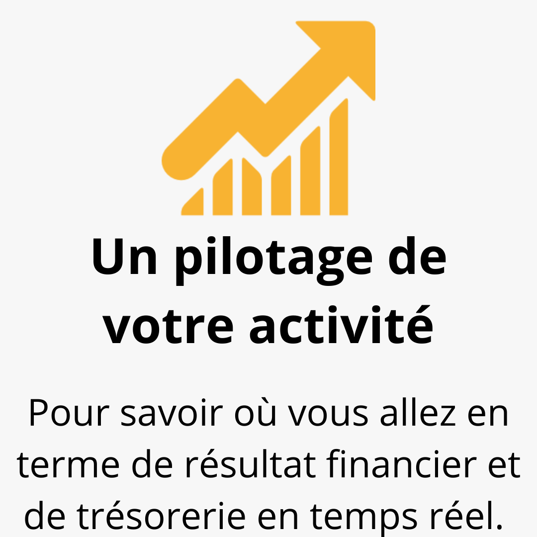 Un pilotage de votre activité : pour savoir où vous allez en terme de résultat financier et de trésorerie en temps réel