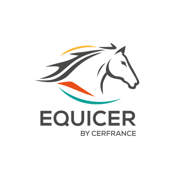 Logo equicer conseil cheval