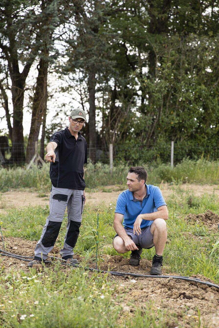 Agriculteur du Calvados dans un champ observant ses rendements avec un conseiller
